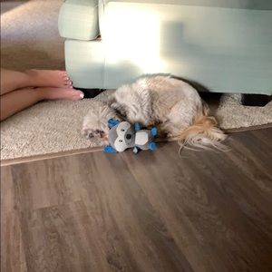 Meet your Posher, Debi